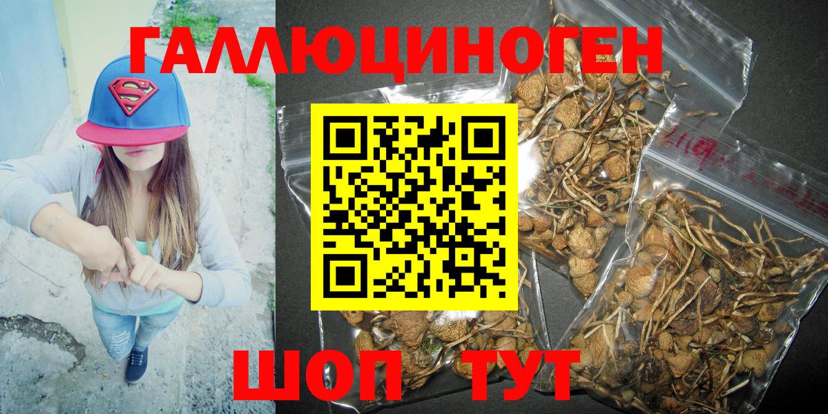 Домодедово  Псилоцибиновые грибы Psilocybine cubensis  Галлюциногенные грибы Psilocybine cubensis  где можно купить   Вход с VPN 