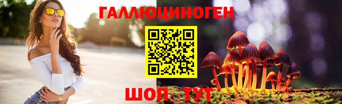 Псилоцибиновые грибы Psilocybe Домодедово